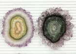 Lot: to Amethyst Stalactite Slices ( Pieces) #76646-1